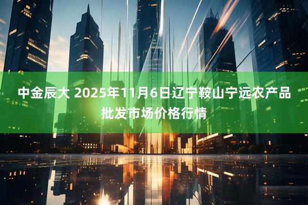 中金辰大 2025年11月6日辽宁鞍山宁远农产品批发市场价格行情