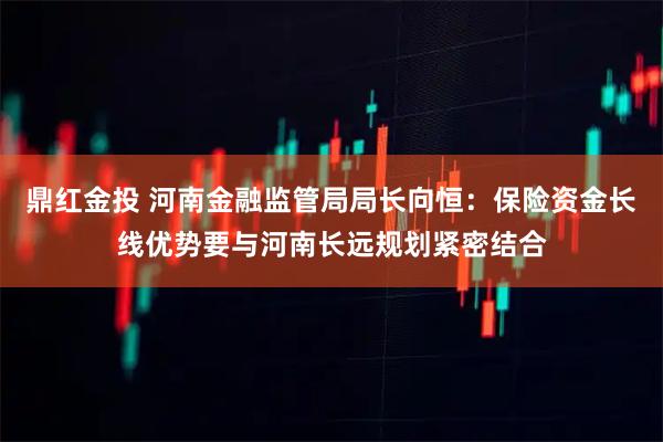 鼎红金投 河南金融监管局局长向恒：保险资金长线优势要与河南长远规划紧密结合