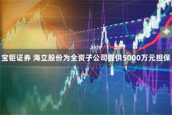 宝钜证券 海立股份为全资子公司提供5000万元担保