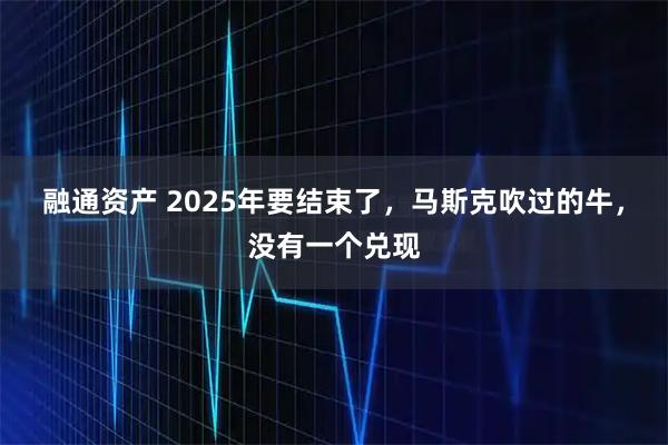 融通资产 2025年要结束了，马斯克吹过的牛，没有一个兑现