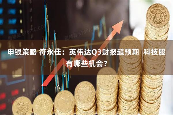 申银策略 符永佳：英伟达Q3财报超预期  科技股有哪些机会？