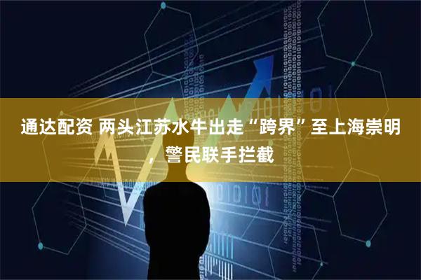 通达配资 两头江苏水牛出走“跨界”至上海崇明，警民联手拦截