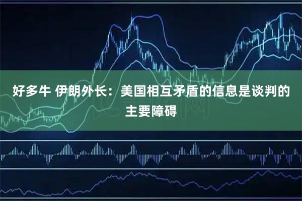 好多牛 伊朗外长：美国相互矛盾的信息是谈判的主要障碍
